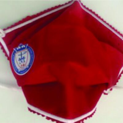 ADULT FACEMASK - ADULT NON-MEDICAL HOMEMADE MASK -2-PLY CLOTH - WASHABLE- ICD LOGO Thumbnail